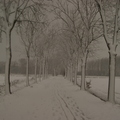 171210-PK-sneeuwval in Heeswijk- 5 